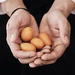 Yria Island Boutique & פרספורוס