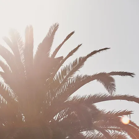 Yria Island Boutique &