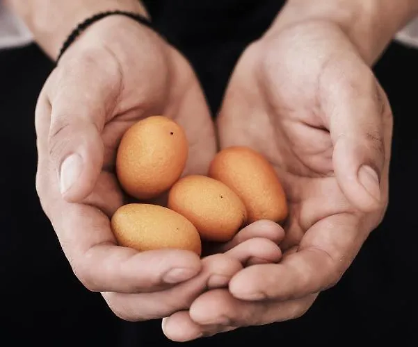 Yria Island Boutique & Parasporos